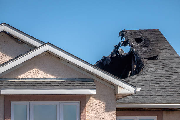 Top rated local Fire Damage Removal specialists in Princeton Junction, NJ